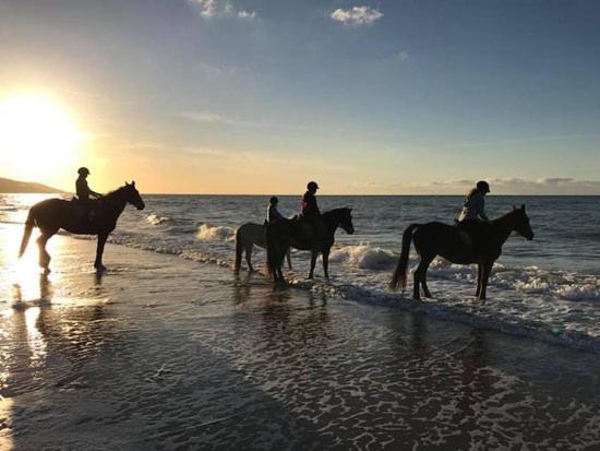 Les Pieds Dans L'Eau - Acces Direct A La Plage Bernieres-sur-Mer Luaran gambar