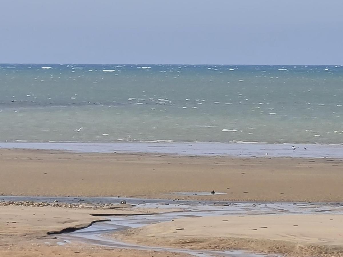 Les Pieds Dans L'Eau - Acces Direct A La Plage Bernieres-sur-Mer Luaran gambar