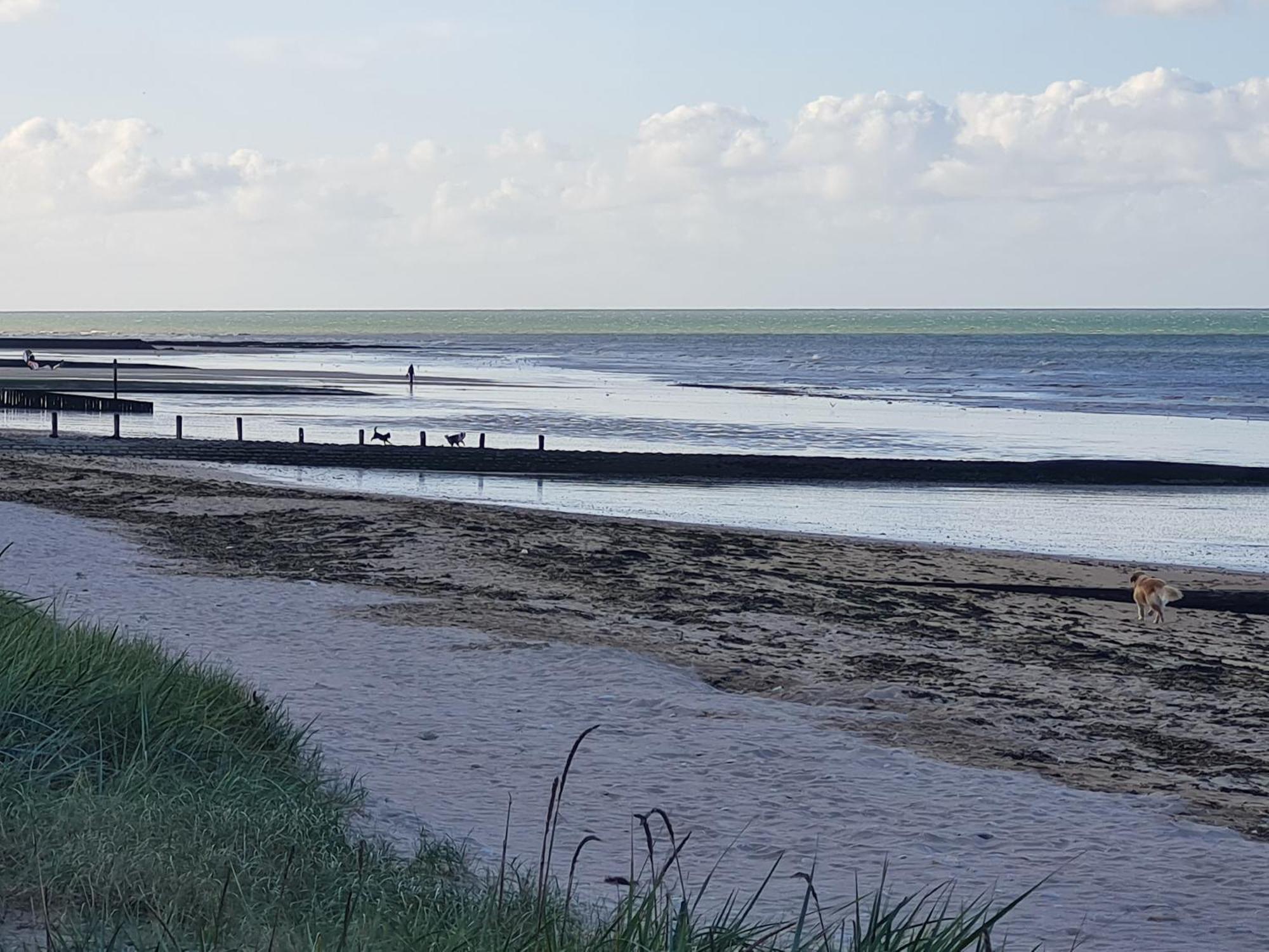 Les Pieds Dans L'Eau - Acces Direct A La Plage Bernieres-sur-Mer Luaran gambar